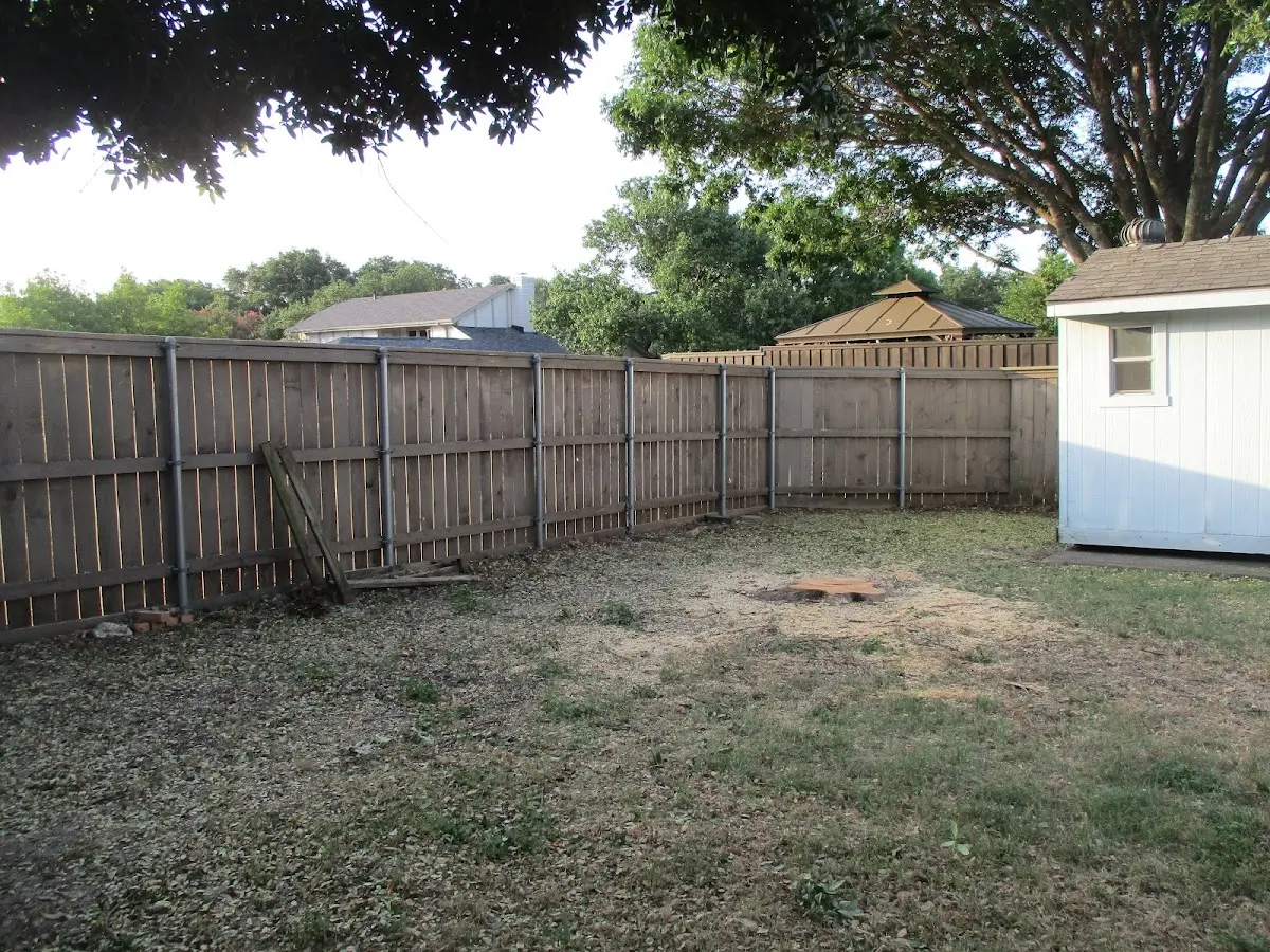 Cleared yard after professional tree removal in Le Raysville